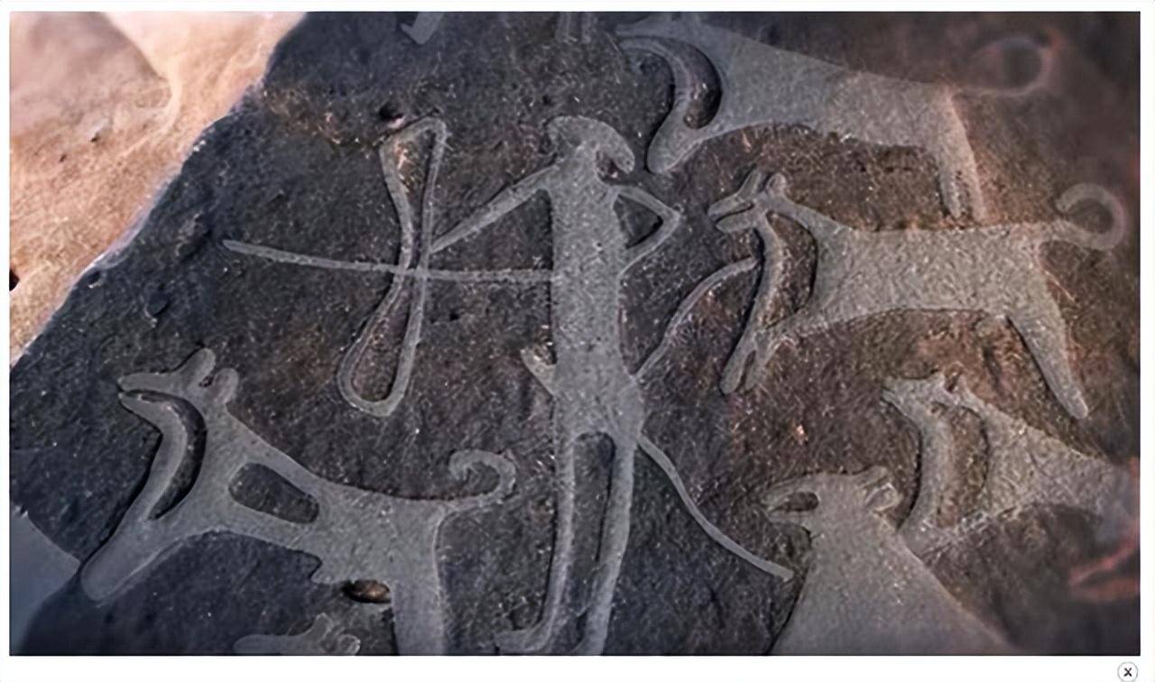 狗和我们人类的 4500 万年历史！