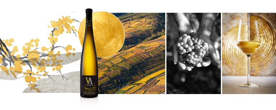 法国阿尔萨斯葡萄酒宣布成为2025大坂世博会法国馆金级赞助者