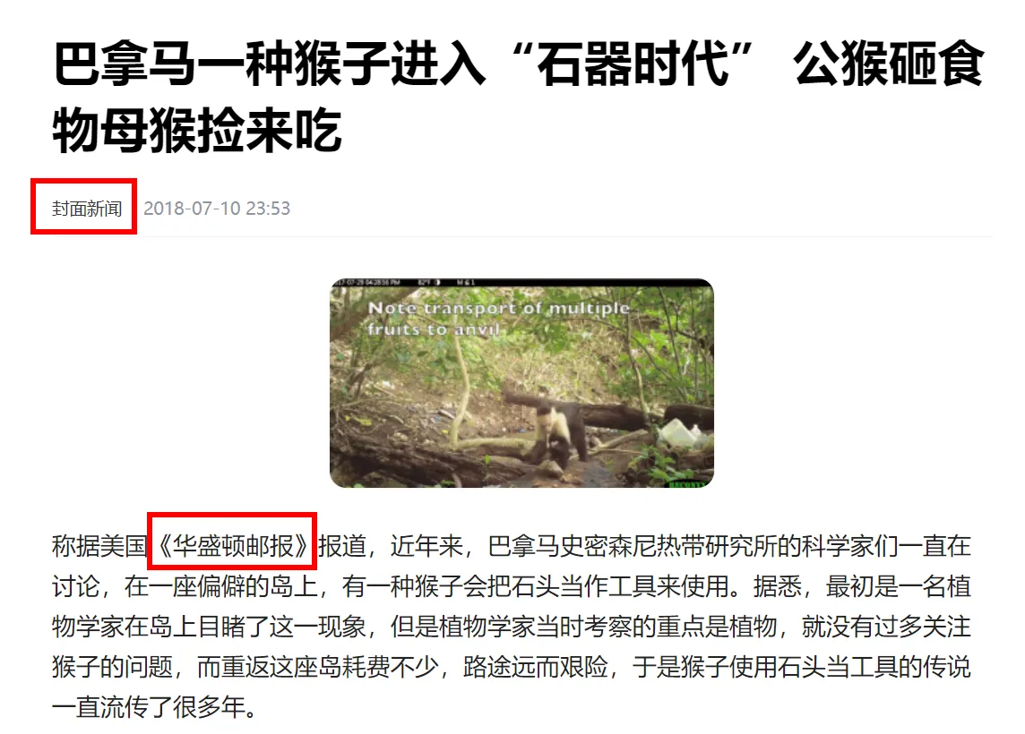 巴拿马猴已进入“石器时代”，它们会威胁到未来人类？
