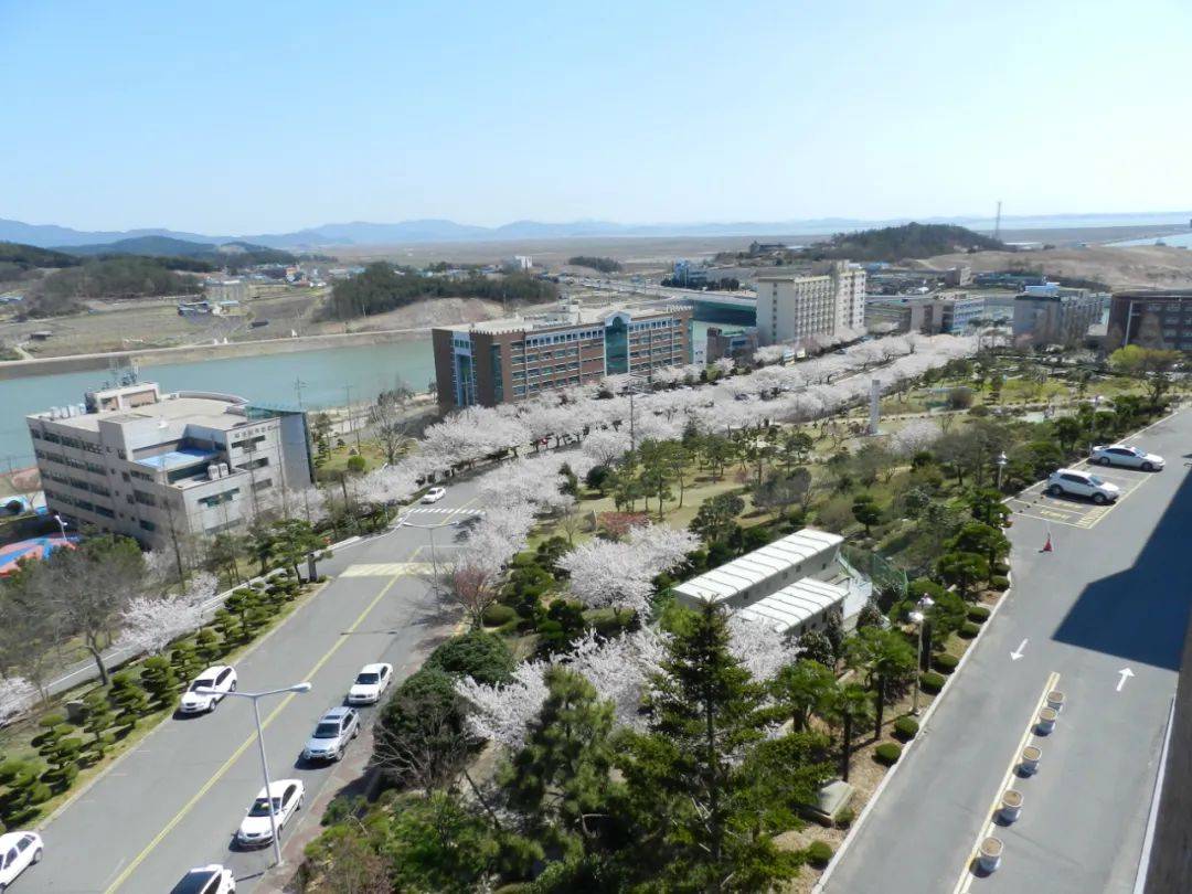 韩国留学都是混文凭？让我们用事实来说话！