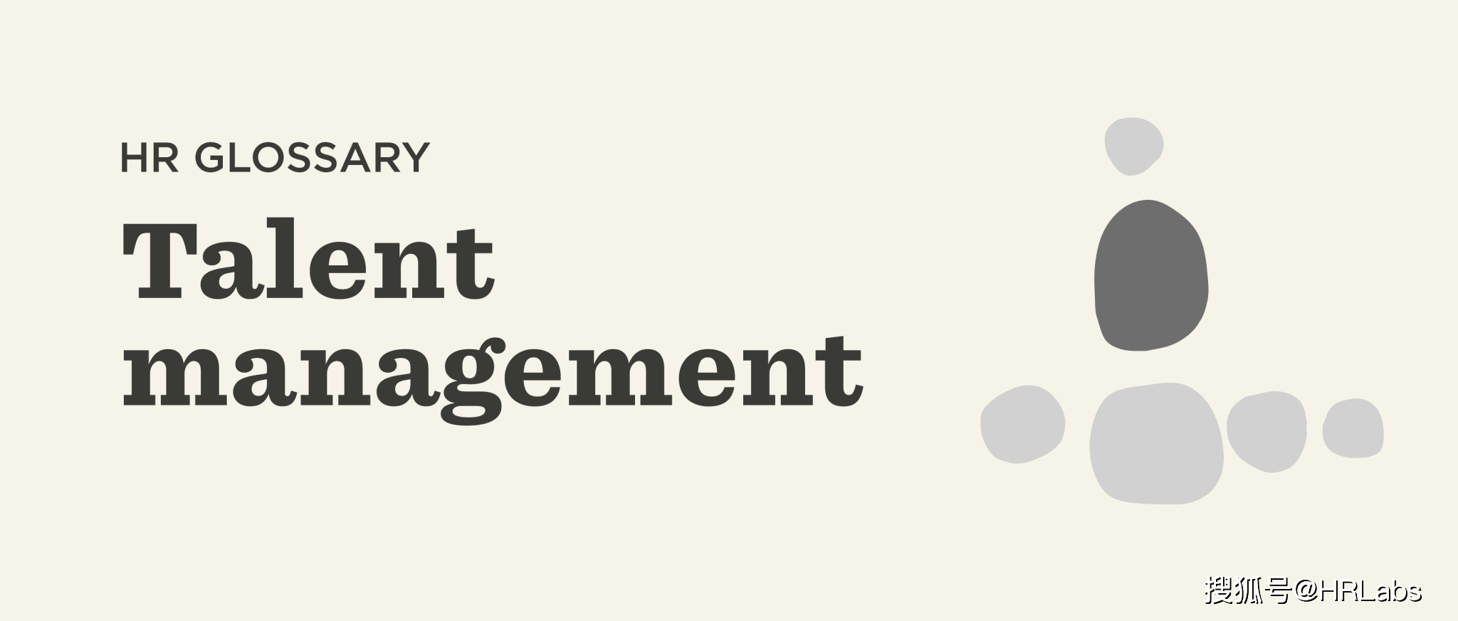 【芝麻背调百科】什么是人才管理？（What is talent management?）