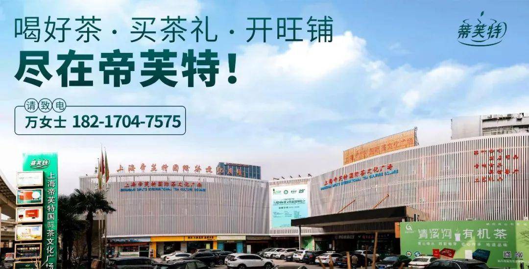 什么是春茶？如何辨别？