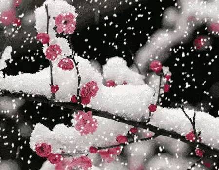 暴雨、暴雪、大风来袭！3月天气疯狂上演，春天何时稳定入驻？