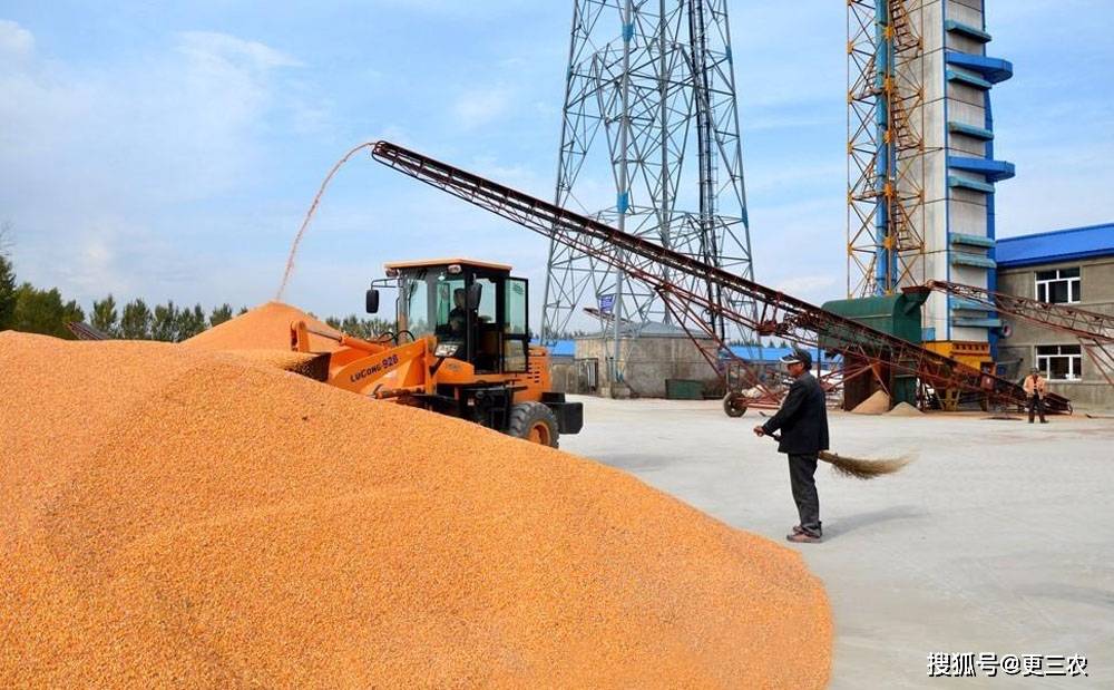 粮食批发利润大不大的原因