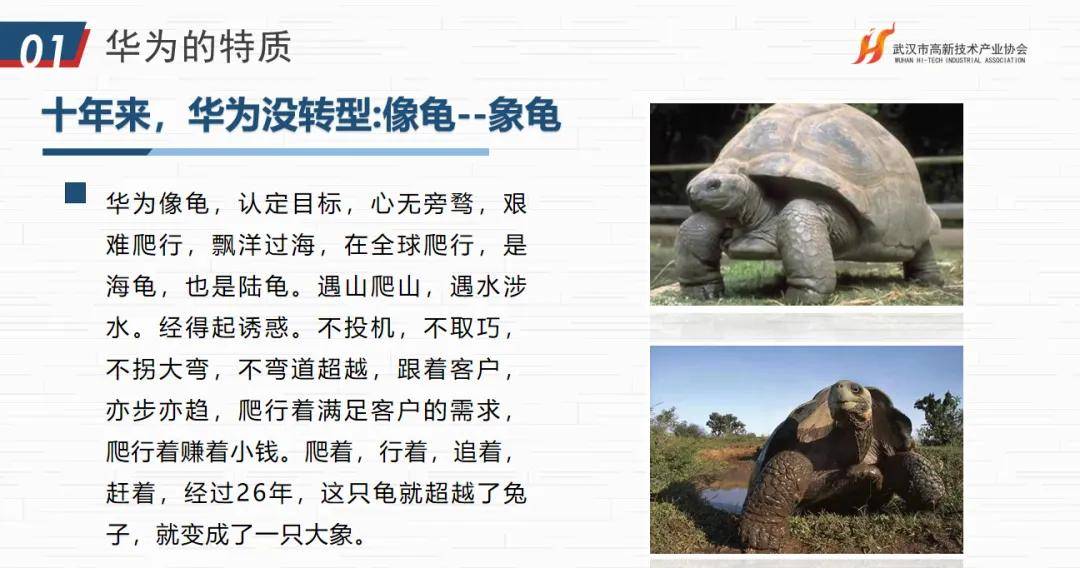 华为文化为何是高绩IM电竞 IM电竞平台效文化？协会“助企讲座”第七站走进红星杨科技(图16)