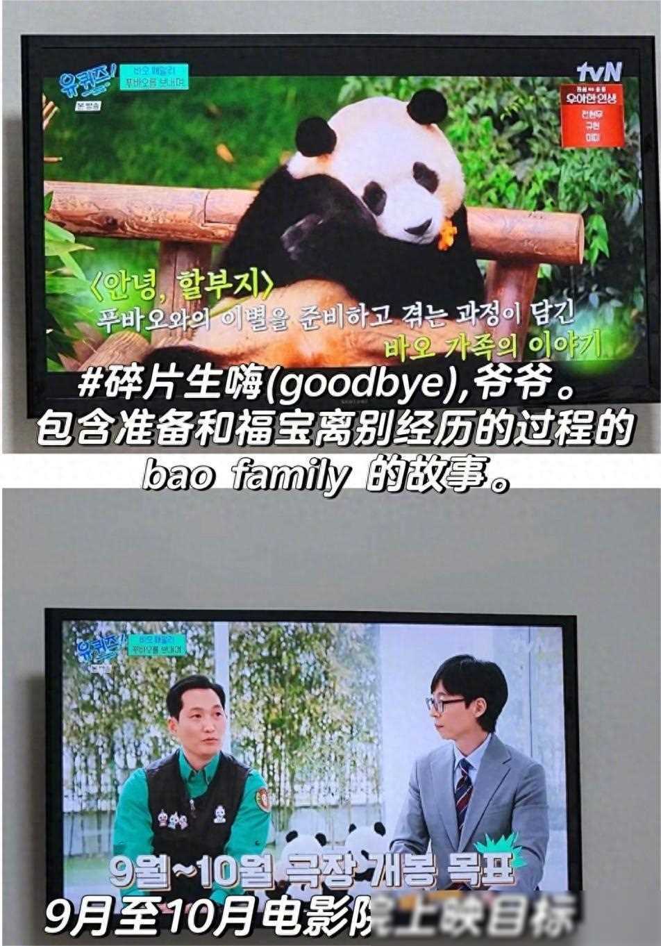韩国计划拍熊猫电影引热议,将与日本进行差距对比-韩国熊猫综艺