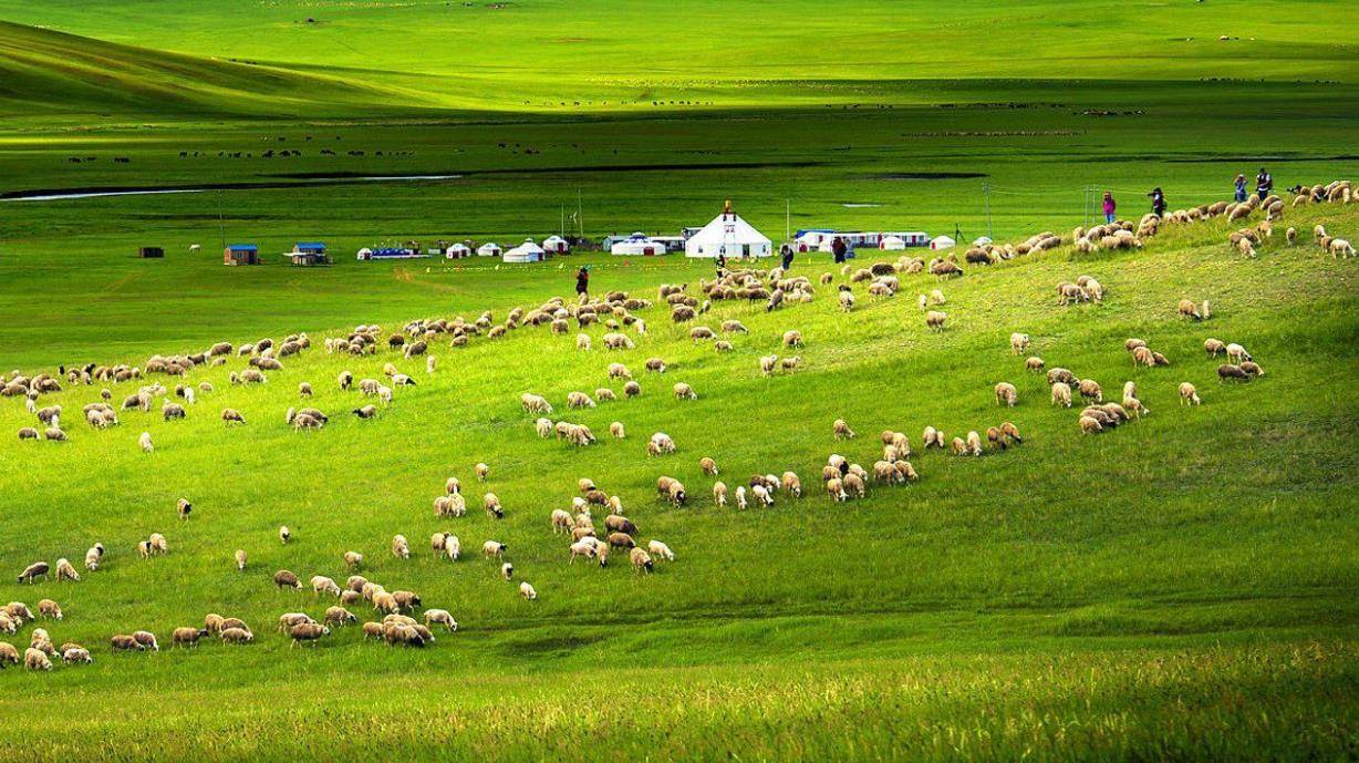 去内蒙古旅游一趟要准备什么?去几天合适?内蒙古五天旅游指南