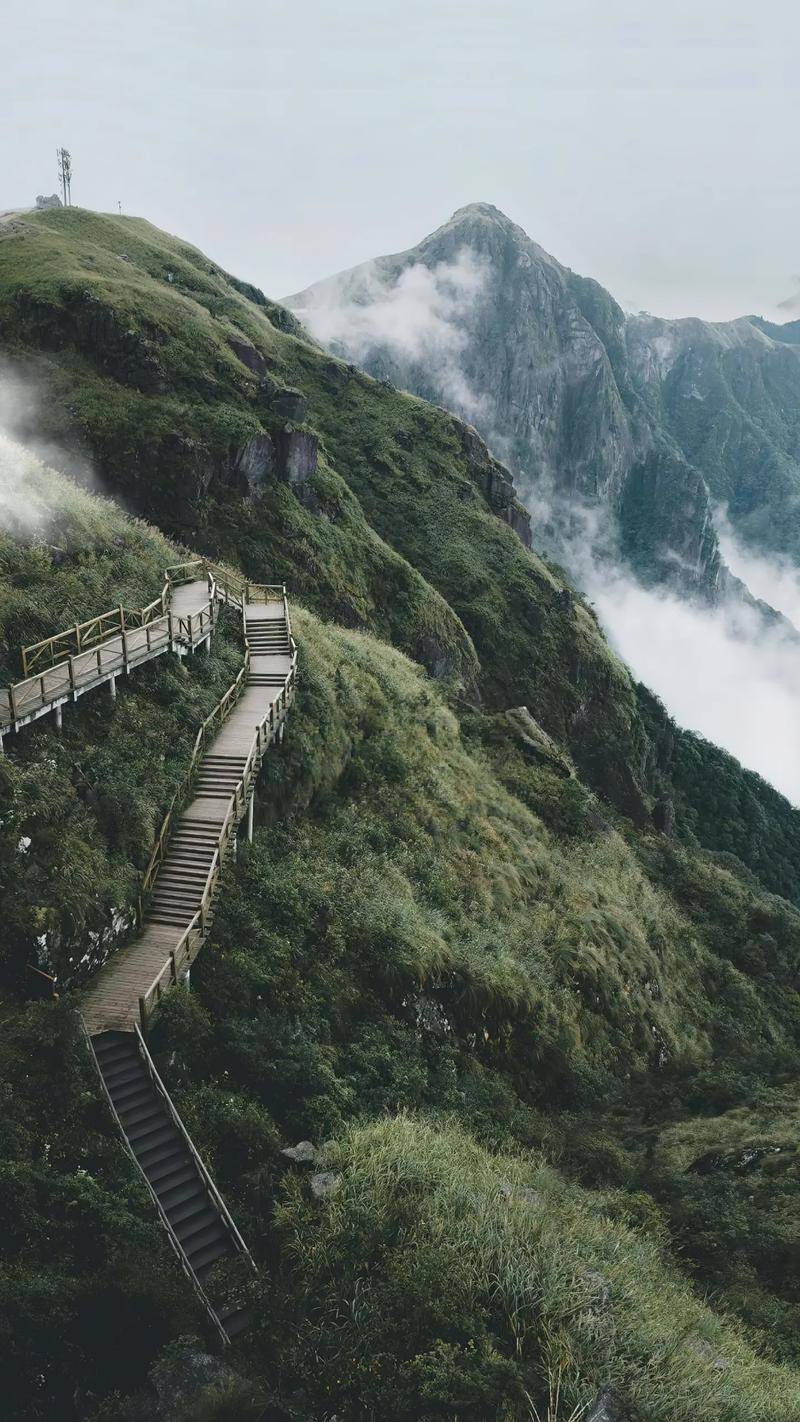 人生若如初相见（建议收藏）
