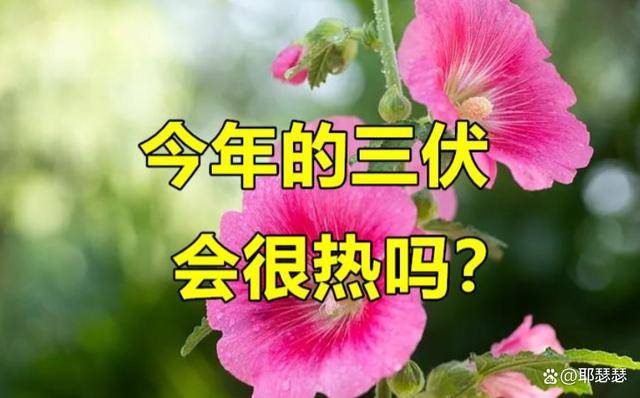 “三伏热不热，五月初八早看天”，今天五月初八，三伏会热到哭吗