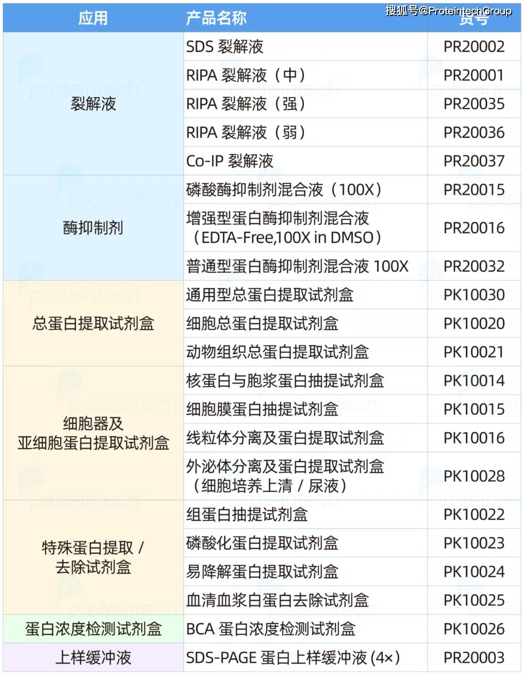 WB结果不理想？可能从蛋白提取开始就错了！