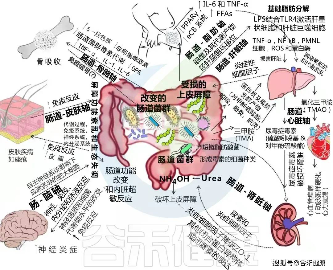 文章配图-13