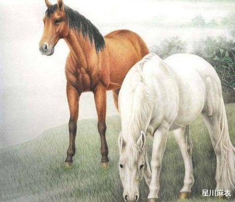 原创
            8.12-8.18日，属马、属羊、属猴运势提点，属马财运亨通，钱包鼓鼓