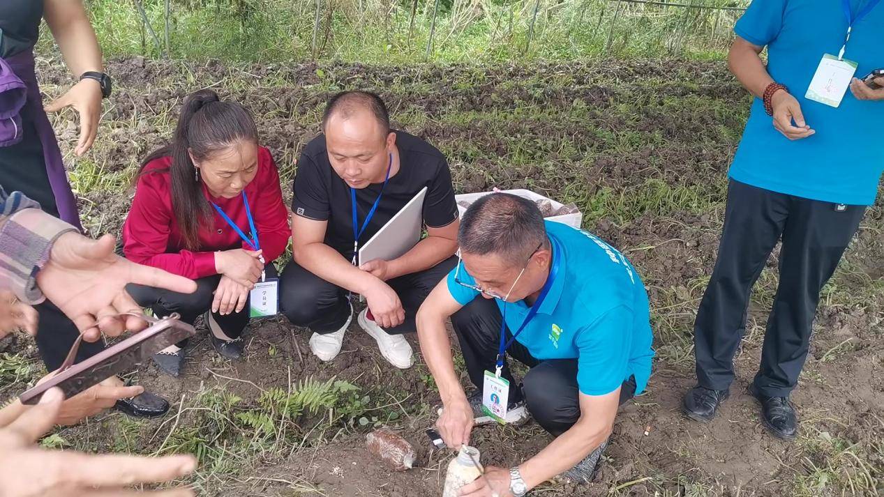 M6米乐下载首手羊肚菌田间种植技术及制种技术培训会完美收官(图2)