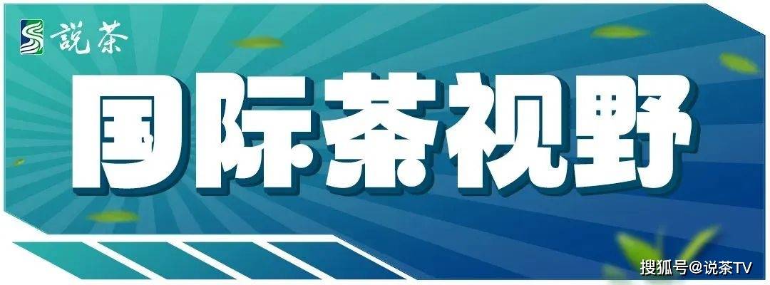 文章配图-3