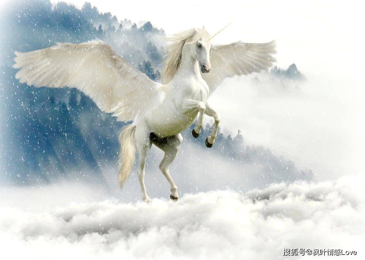 梦里出现的人，会相互想念吗？