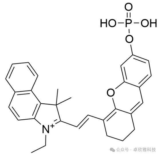 γ-谷氨酰转肽酶(ggt)荧光探针（cas：2579680-21-8）