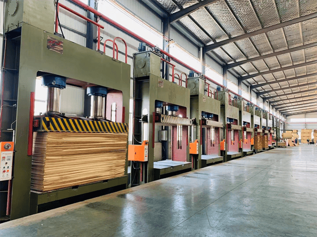 防潮小能手丨桥牌桉木多层板,轻松应对潮湿天气