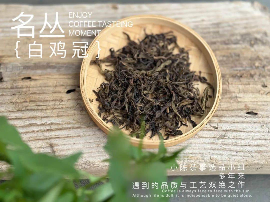 原创
50块一斤的岩茶能喝吗?我专门买了一份,现场试喝给你看