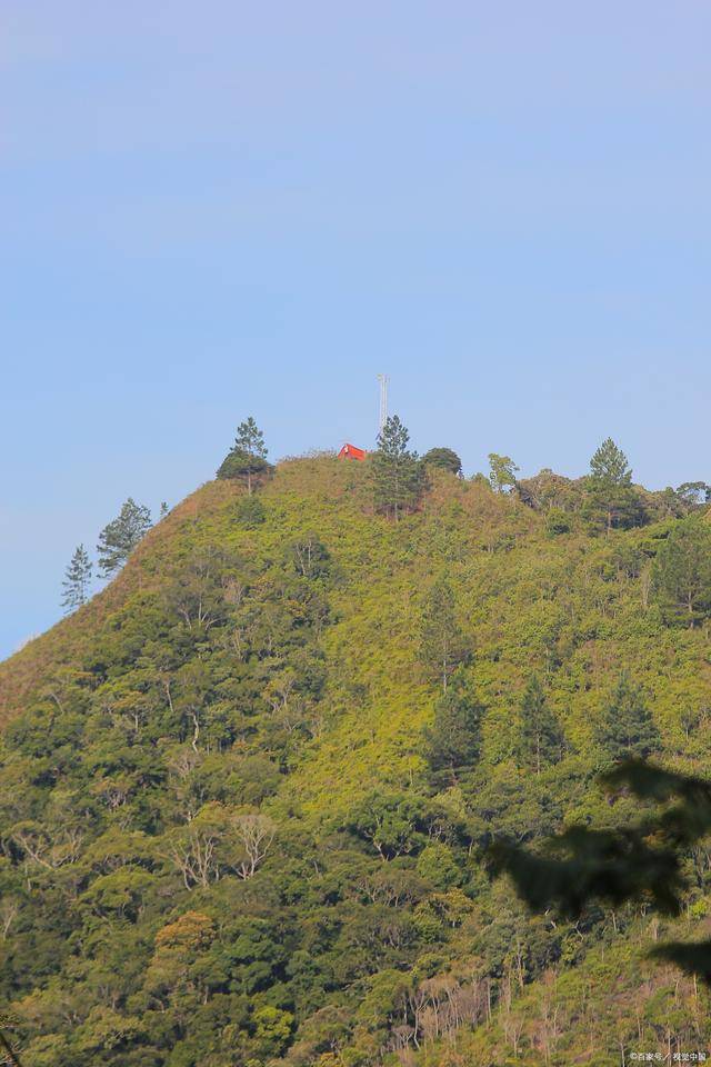 蛇口凤凰梅林山，青龙摆尾梧桐攀，深圳风水先生黄天雄(图5)