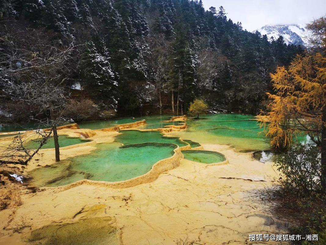 四川8天7晚报团游路线如何设计？四川本地旅行团预约报名推荐！