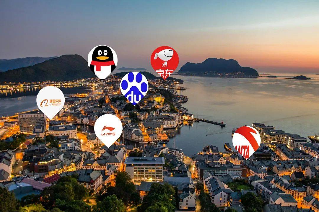 2024年四种不同类型的离岸公司怎么选？(图5)