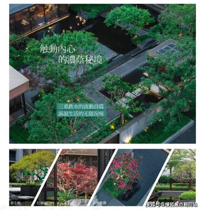 保利·海上瑧悦-​首页网站-2024保利·海上瑧悦最新房价＋户型＋小区环境＋配套(图13)