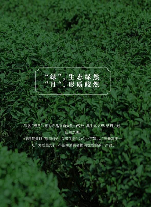 绿月茶业：传承与创新铸就茶业辉煌PG电子网址(图2)