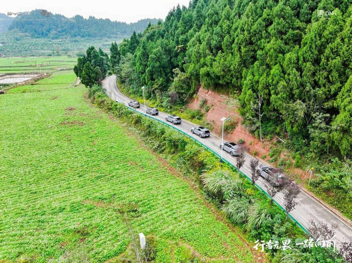 借黑神线款唐D德信体育官网Mi安岳文化之旅圆满收官(图12)