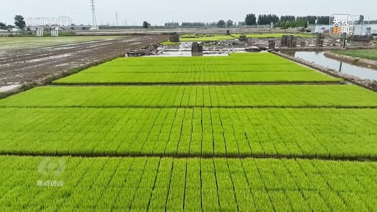 焦点访谈丨南水北调10周年背后 他们的生活因“南水”而变