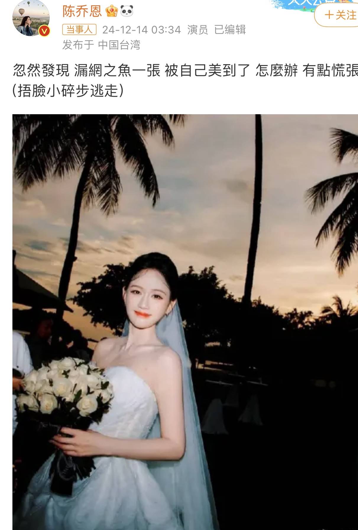 澳门新葡萄新京下载陈乔恩深夜晒海岛婚礼婚纱照曝光甜美笑容定格幸福瞬间(图1)