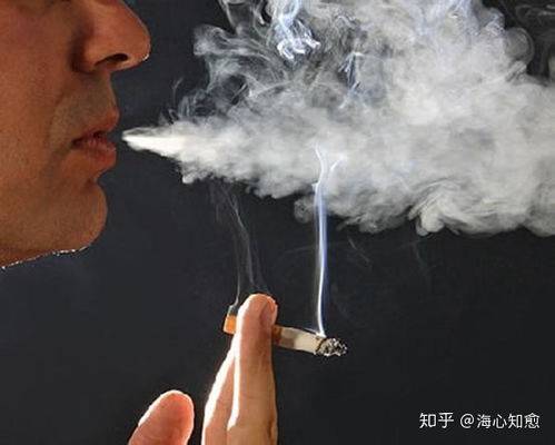 除二手烟的空气净化器怎么选最划算？推荐排行前十的WM真人APP空气净化器(图1)