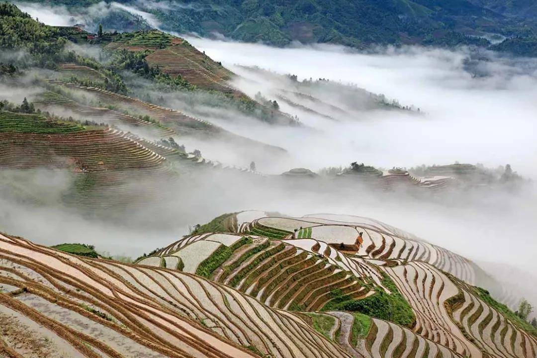 文章配图-28