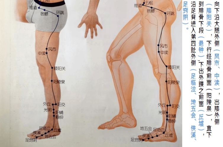 人体的十二正经之第十一条经络——胆经（二）