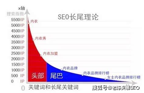 提升网站流量的秘诀 长尾关键词与seo关键词优化的应用技巧
