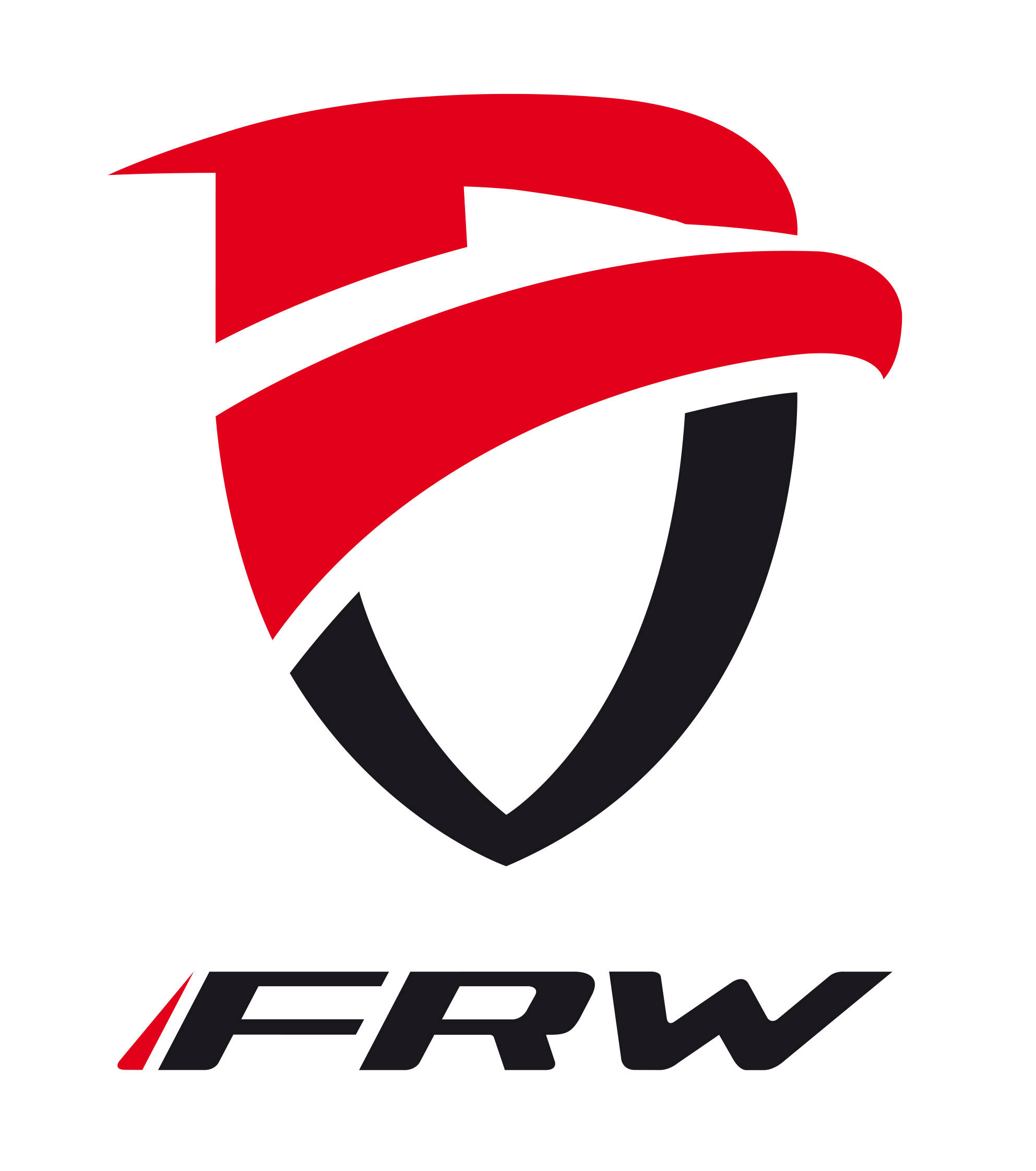 2025全国自行车加盟前十名frw辐轮王第一品牌单车代理招商(图2)