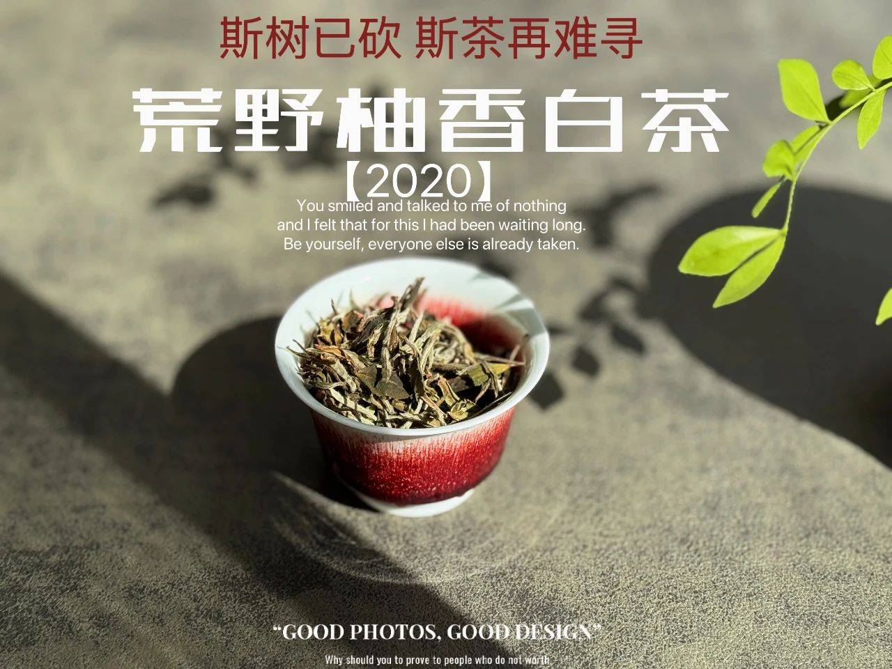文章配图-6