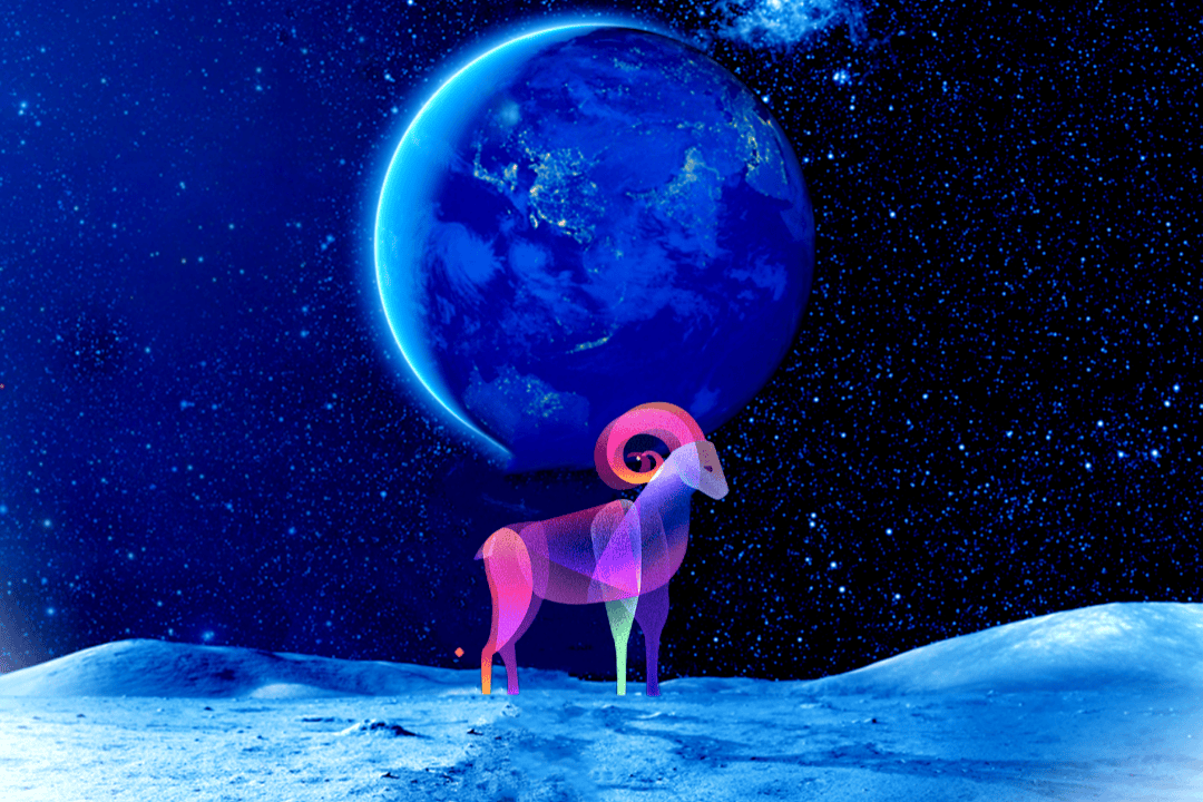 梦境中的寻羊之旅，解析梦境中的象征与自我探索