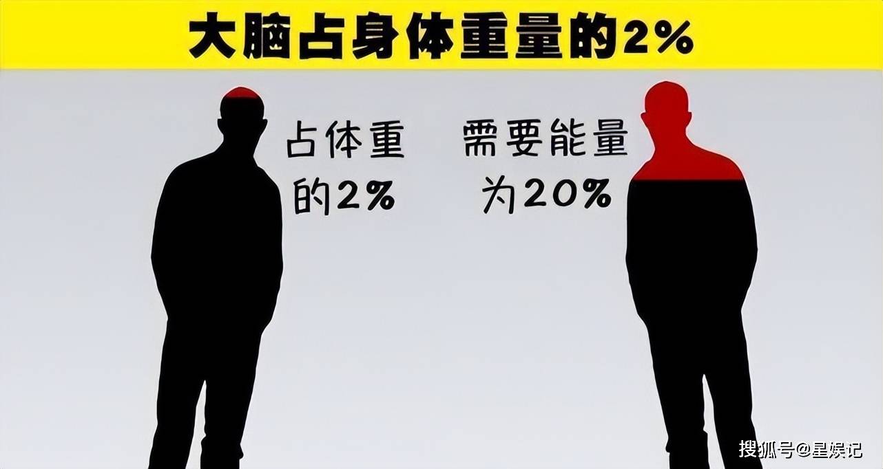 原创             世界上本来没有人，那么第一个人是怎么来的？