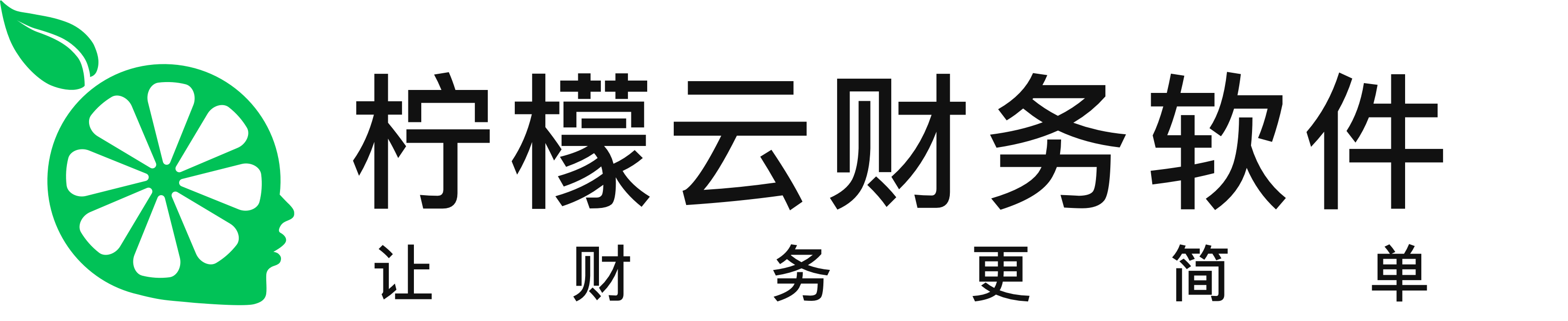 财务软件哪个品牌好？十大财务软件揭秘(图1)