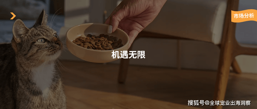 193亿美元中九游娱乐app国台湾宠物产业又破纪录了(图1)