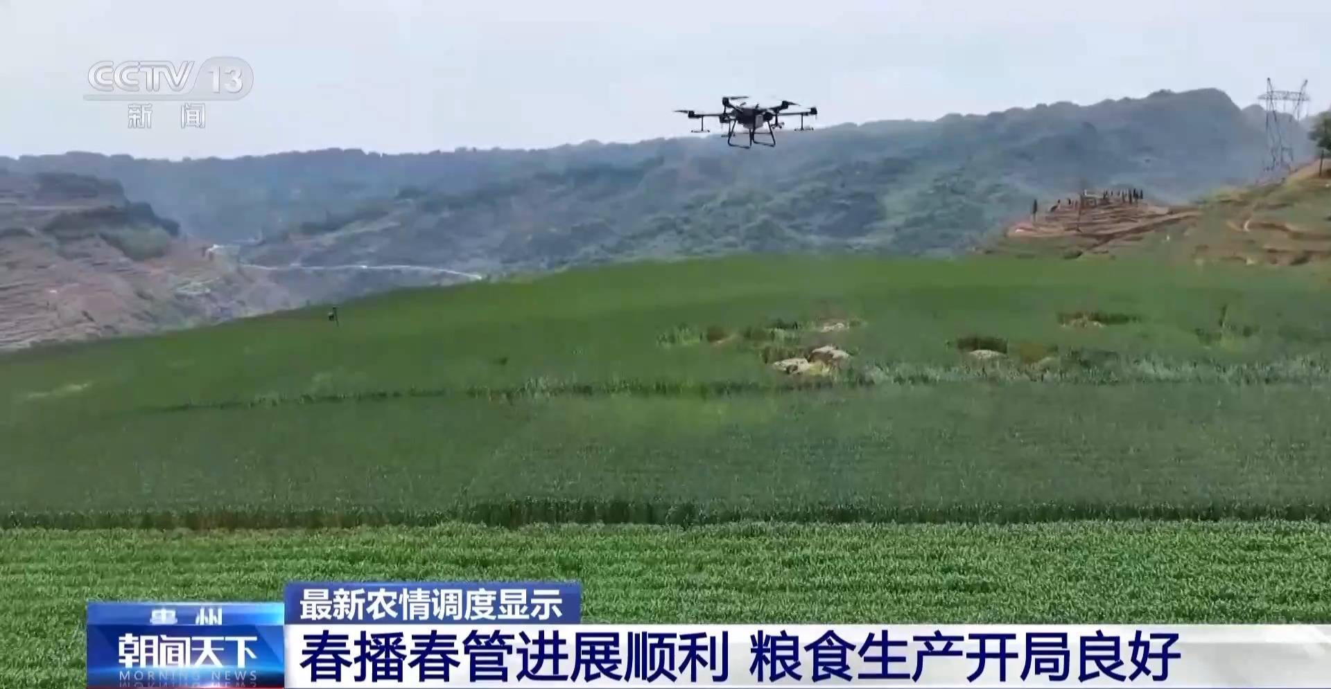 全国粮食生产开局良好 冬小麦将迎来大面积收获(图2)