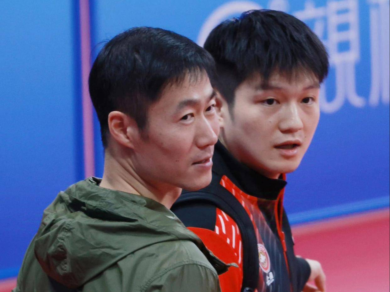 王励勤任乒协主席，樊振东回归悬念，未来乒坛格局如何？