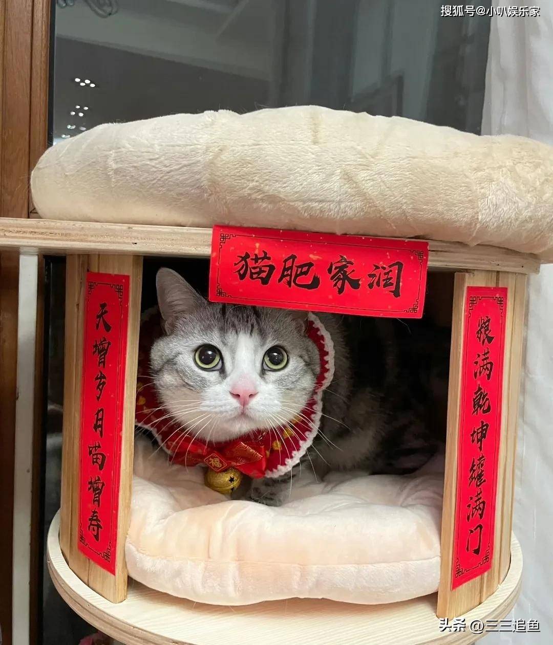 朱媛媛离世后，把父母女儿和猫留给了辛柏青，还给他一份特殊礼物