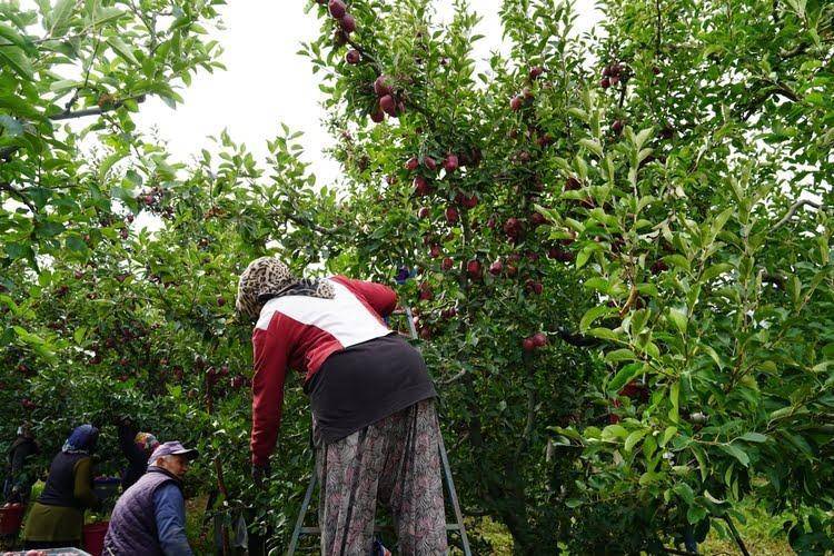原创             没打赢巴铁，印度要制裁土耳其找场子？土网友质问：敢制裁中国吗