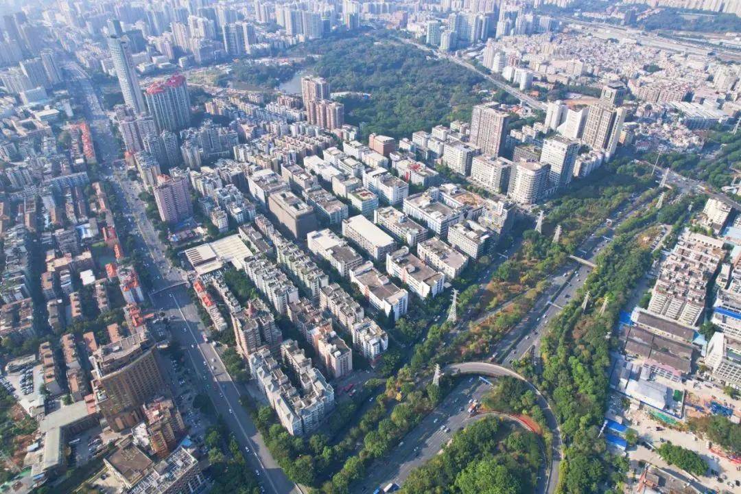 经济第一大省，渴望下一个“爆款”