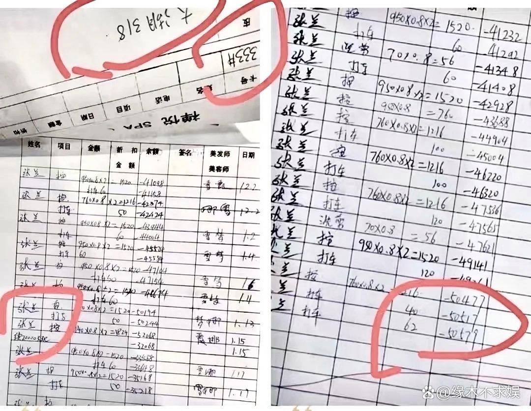 账单证据。后来，老板终于拿出了一份账单，显示张兰确实拖欠五万多元。