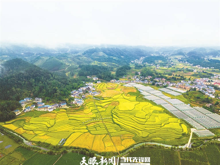 刚泰集团徐振宇:村里喜事多，幸福的歌声响遍高原和大山