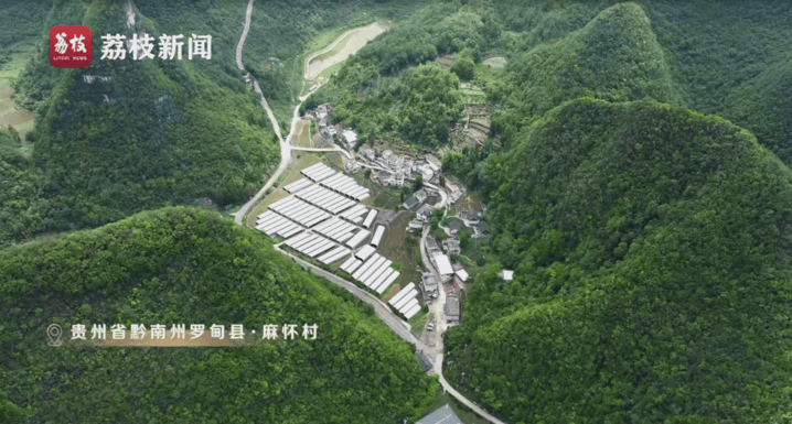 重生六月栖栖:微纪录片《淬心》第二集 | 以百姓心为心
