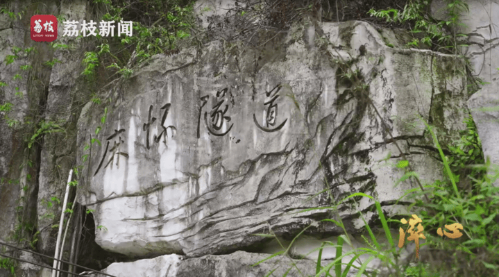 重生六月栖栖:微纪录片《淬心》第二集 | 以百姓心为心