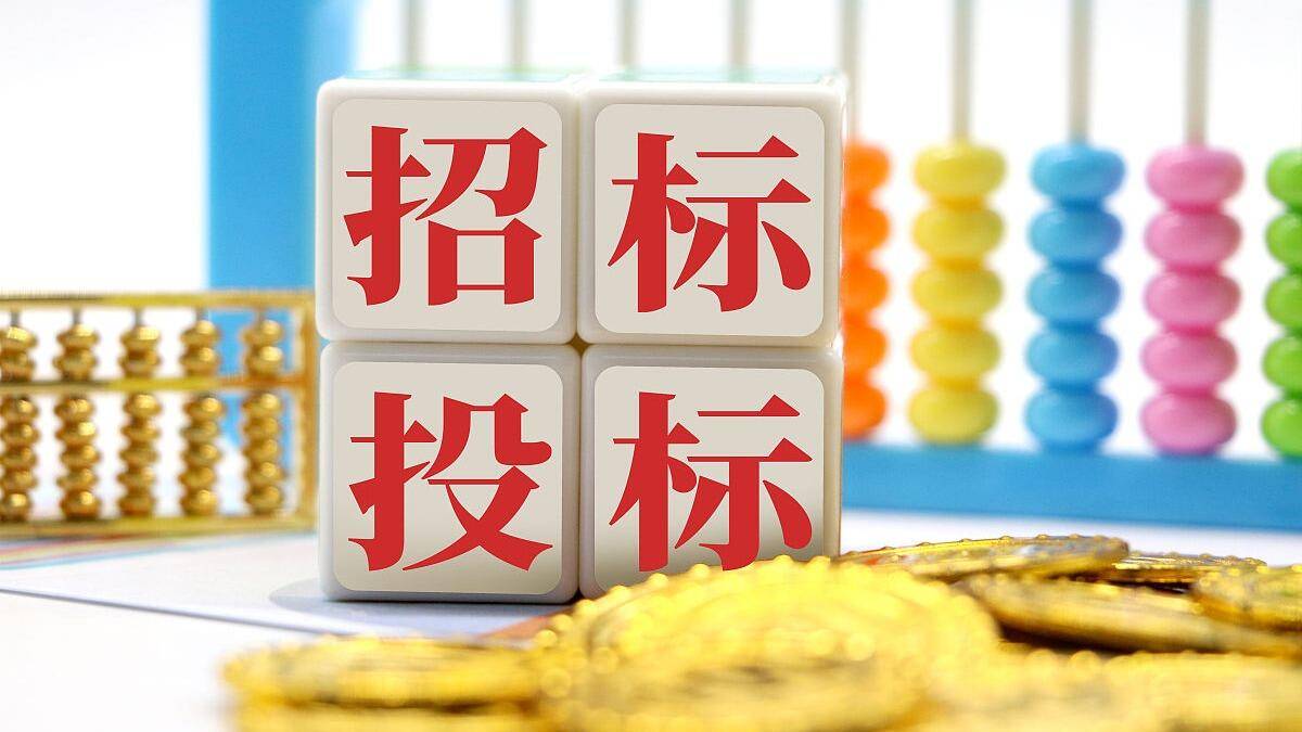 投标保证金管理的审计风险点_资金_进行_账户